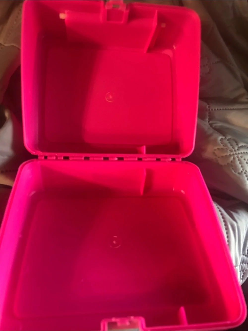 Barbie Bright Pink Carry Case with Doll & Pet Graphic